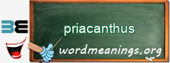 WordMeaning blackboard for priacanthus